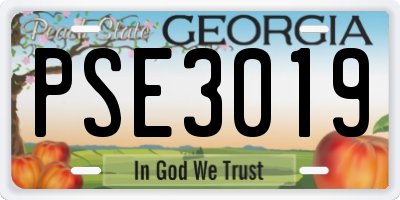 GA license plate PSE3019