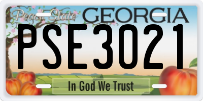GA license plate PSE3021