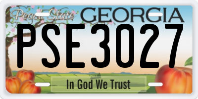 GA license plate PSE3027