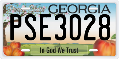 GA license plate PSE3028