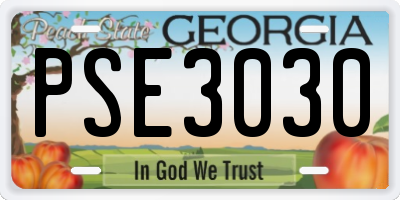 GA license plate PSE3030