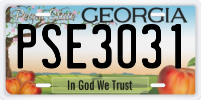 GA license plate PSE3031