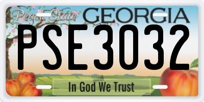 GA license plate PSE3032