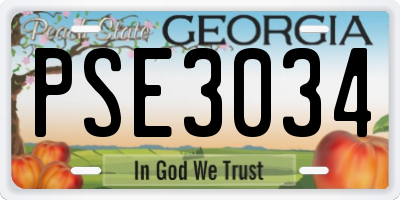 GA license plate PSE3034
