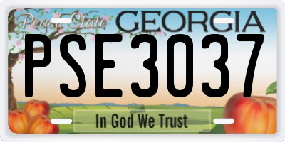 GA license plate PSE3037
