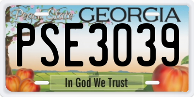 GA license plate PSE3039