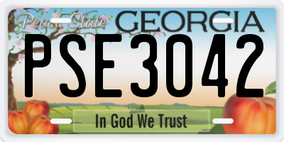 GA license plate PSE3042