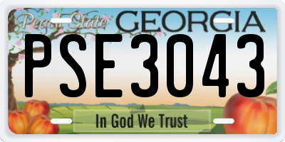 GA license plate PSE3043