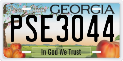 GA license plate PSE3044