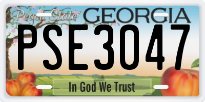 GA license plate PSE3047