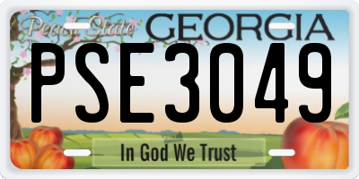 GA license plate PSE3049