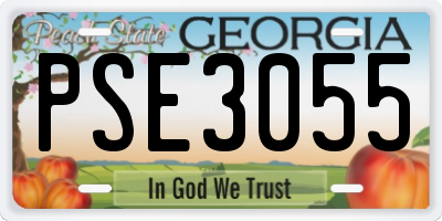 GA license plate PSE3055