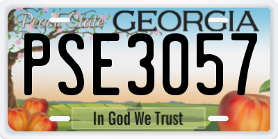 GA license plate PSE3057