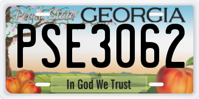 GA license plate PSE3062