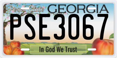 GA license plate PSE3067