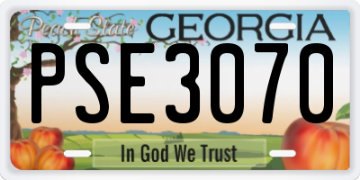 GA license plate PSE3070