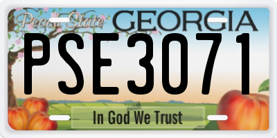 GA license plate PSE3071