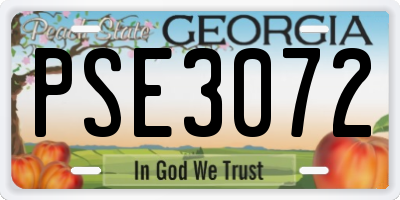 GA license plate PSE3072