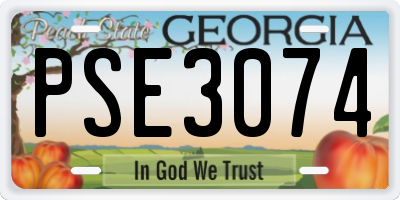 GA license plate PSE3074