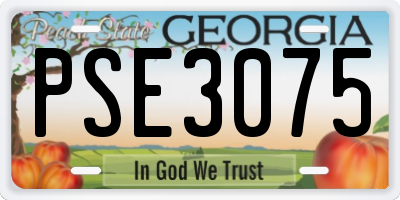 GA license plate PSE3075