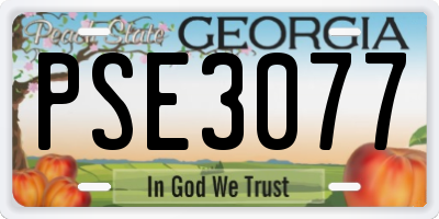 GA license plate PSE3077