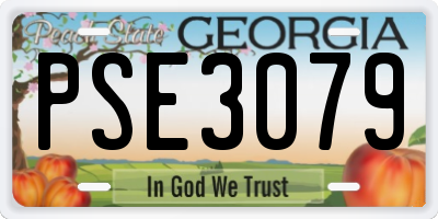 GA license plate PSE3079