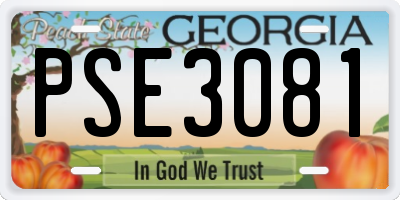 GA license plate PSE3081