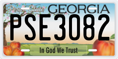 GA license plate PSE3082