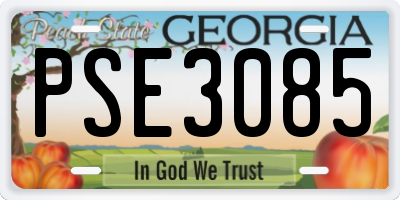 GA license plate PSE3085