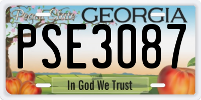 GA license plate PSE3087