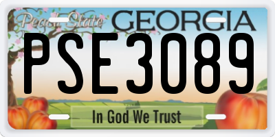 GA license plate PSE3089