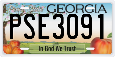 GA license plate PSE3091