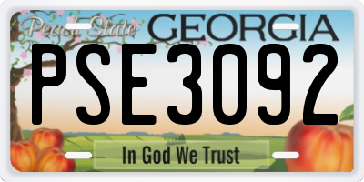 GA license plate PSE3092