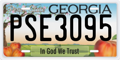 GA license plate PSE3095