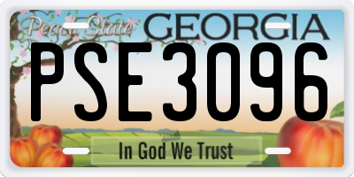 GA license plate PSE3096