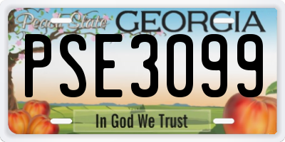 GA license plate PSE3099