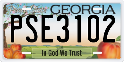 GA license plate PSE3102