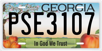 GA license plate PSE3107