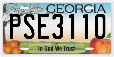 GA license plate PSE3110