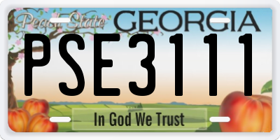 GA license plate PSE3111