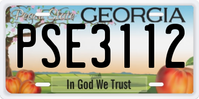 GA license plate PSE3112