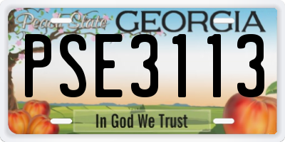 GA license plate PSE3113