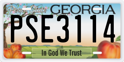 GA license plate PSE3114