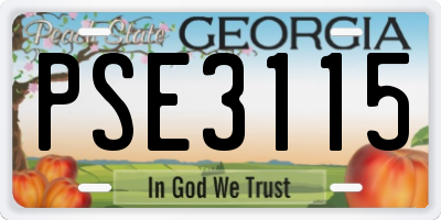 GA license plate PSE3115