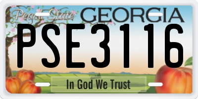 GA license plate PSE3116