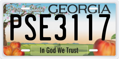 GA license plate PSE3117