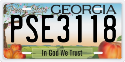 GA license plate PSE3118