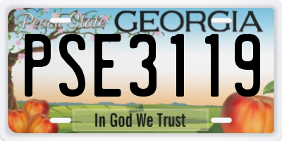 GA license plate PSE3119