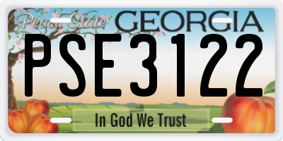 GA license plate PSE3122