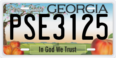 GA license plate PSE3125